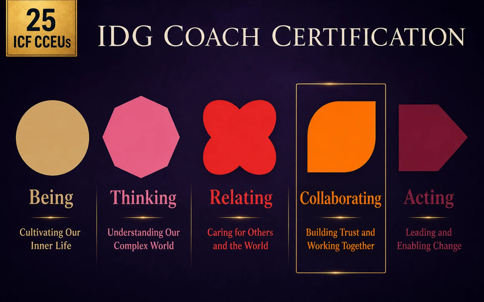 6-Week IDG Coach Certification Training